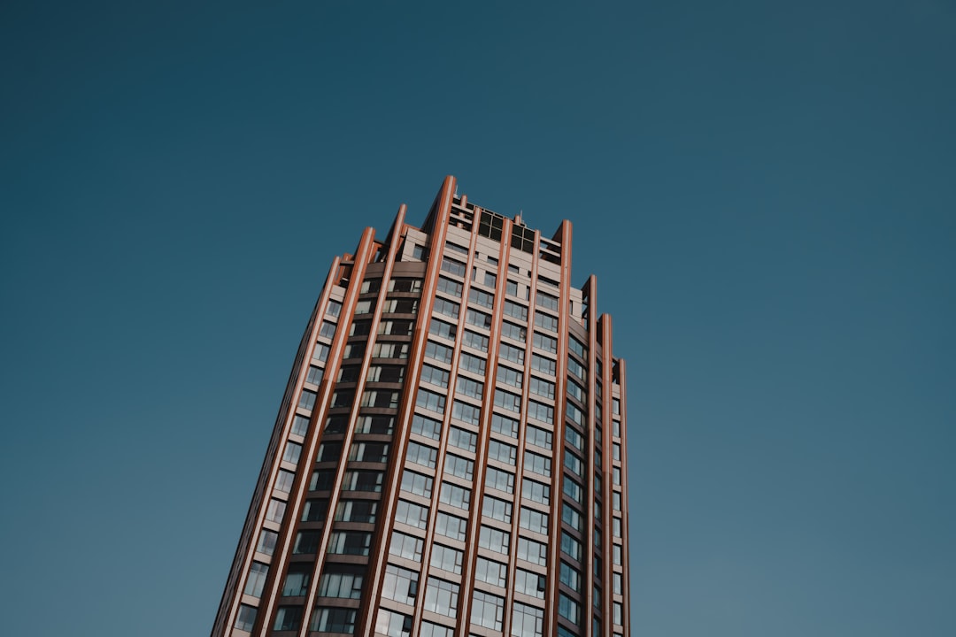 Fris en gezond: alles over de framboos snoeien