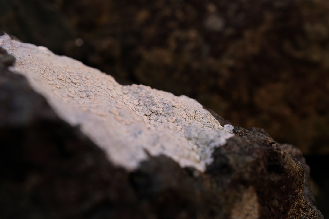 Alles over het variabel energiecontract: wat betekent het voor jouw portemonnee?